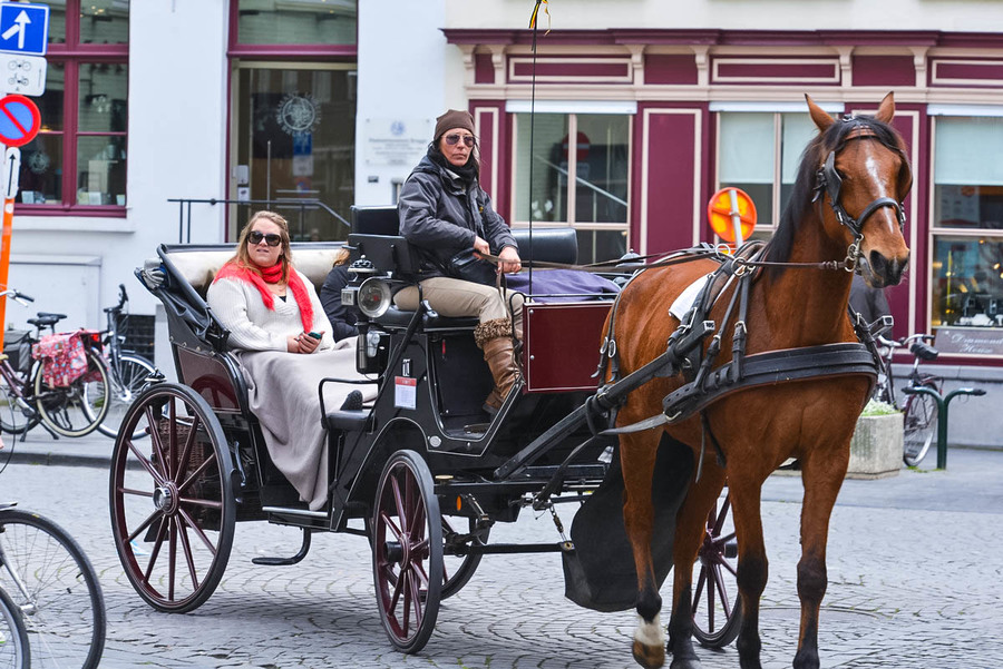 欧洲行# 比利时布鲁斯的旅游马车