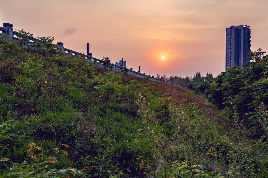 成都青龙湖夕阳下