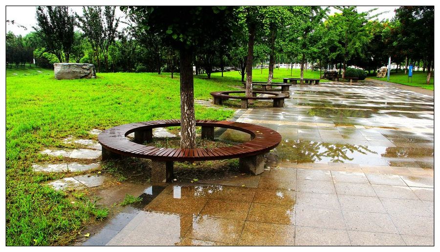 雨后清晨