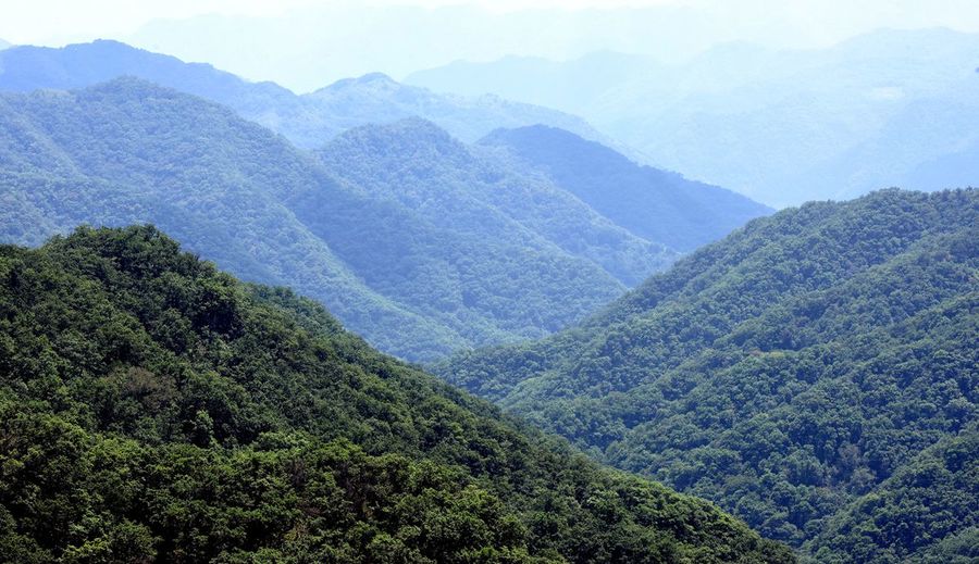 大美黄龙山