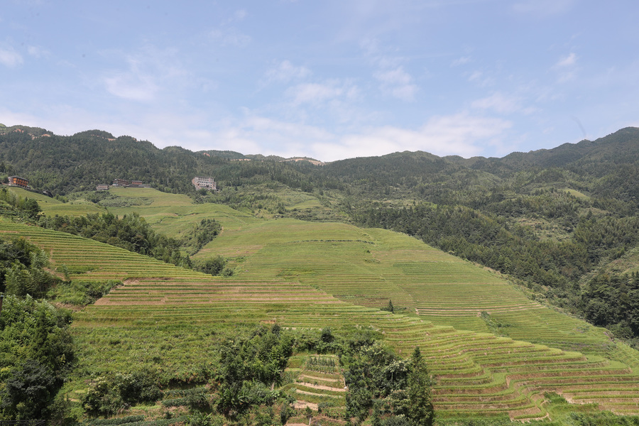 龙胜龙脊梯田―大寨红瑶梯田景观1