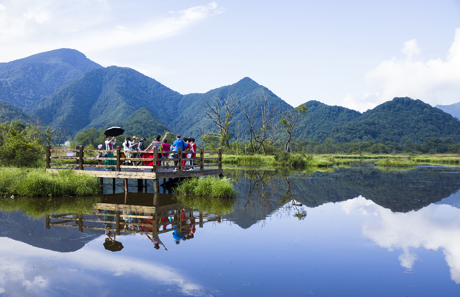 大九湖的夏天