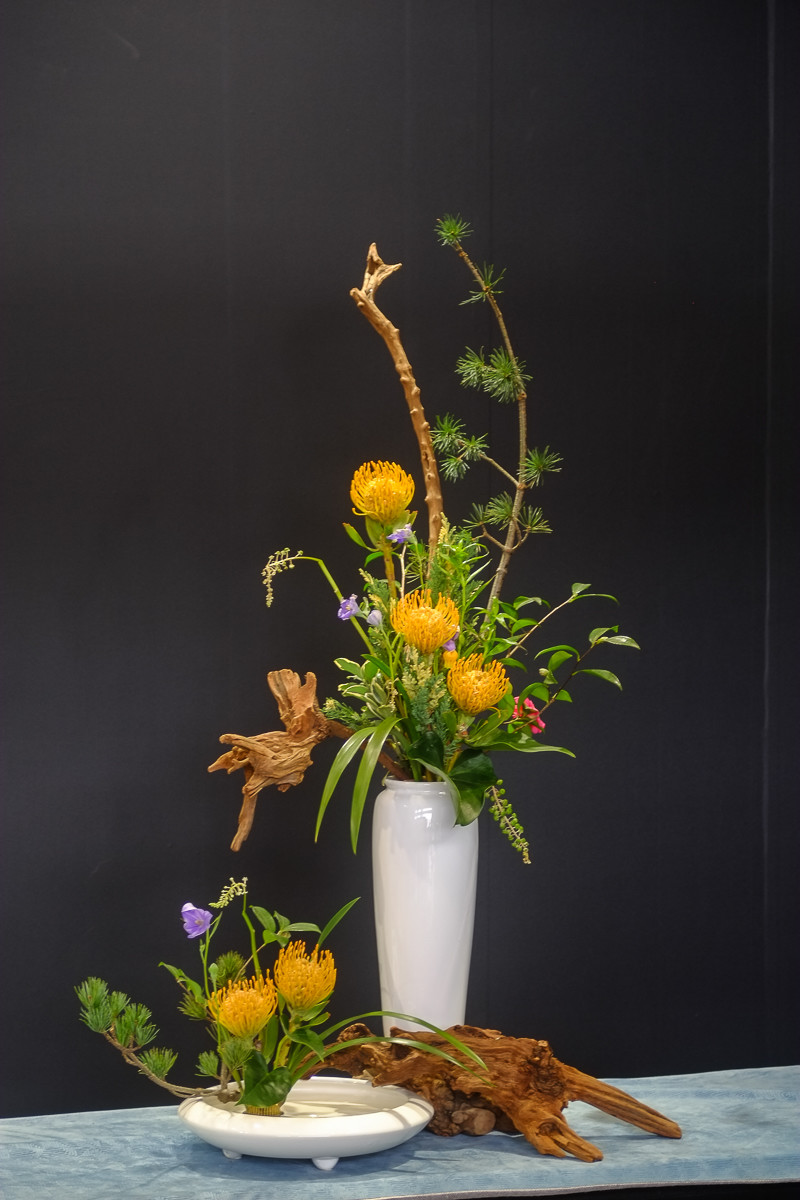菊花展插花艺术欣赏