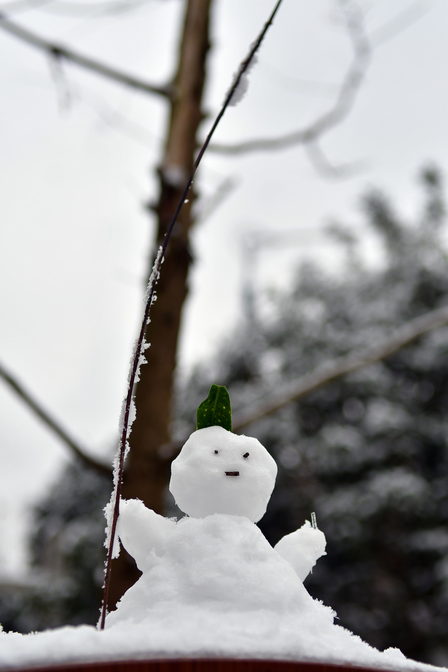 2018年12月30日,贵阳,雪