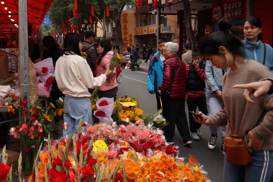 【2019广州迎春花市随拍(三)摄影图片】生活摄