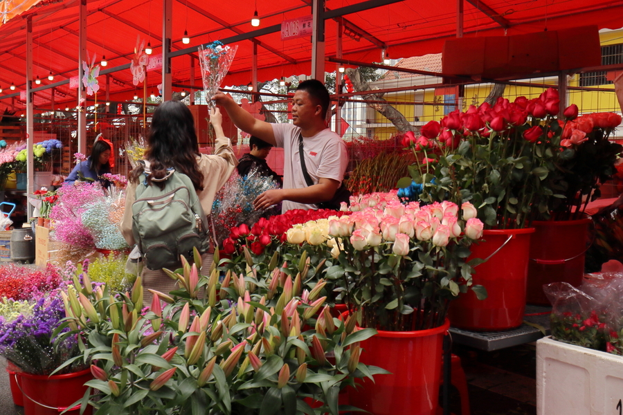 【2019广州迎春花市随拍(三)摄影图片】生活摄