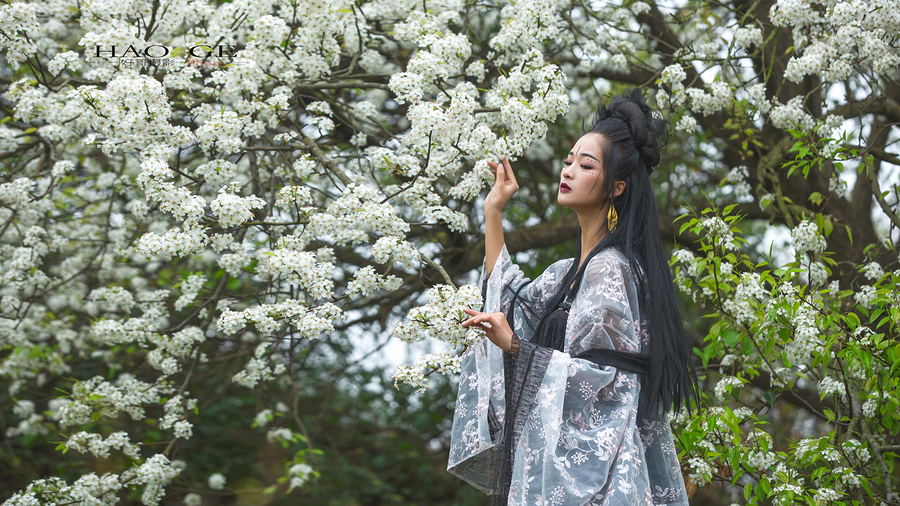 山溪野径见梨花