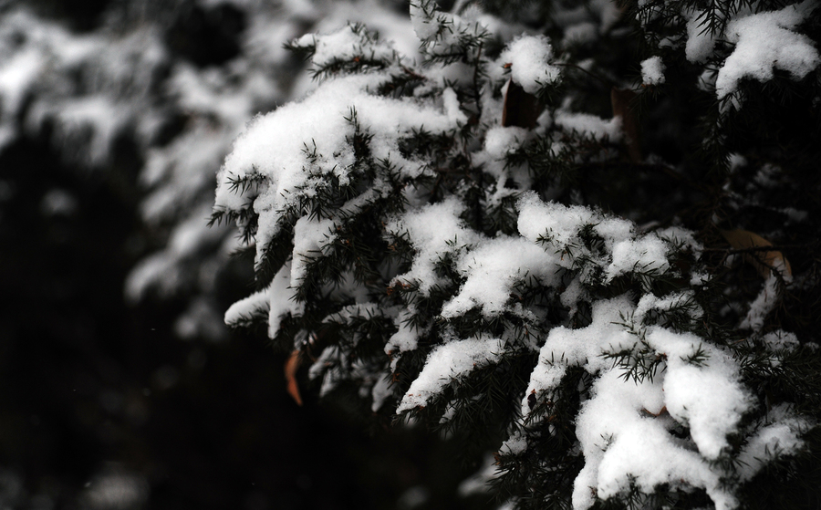 雪景3