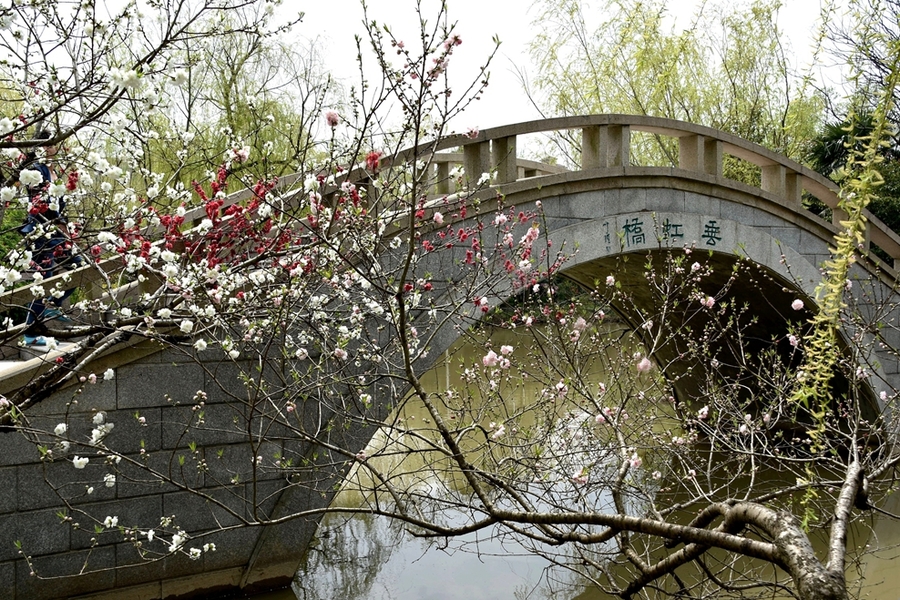 桃花印小桥