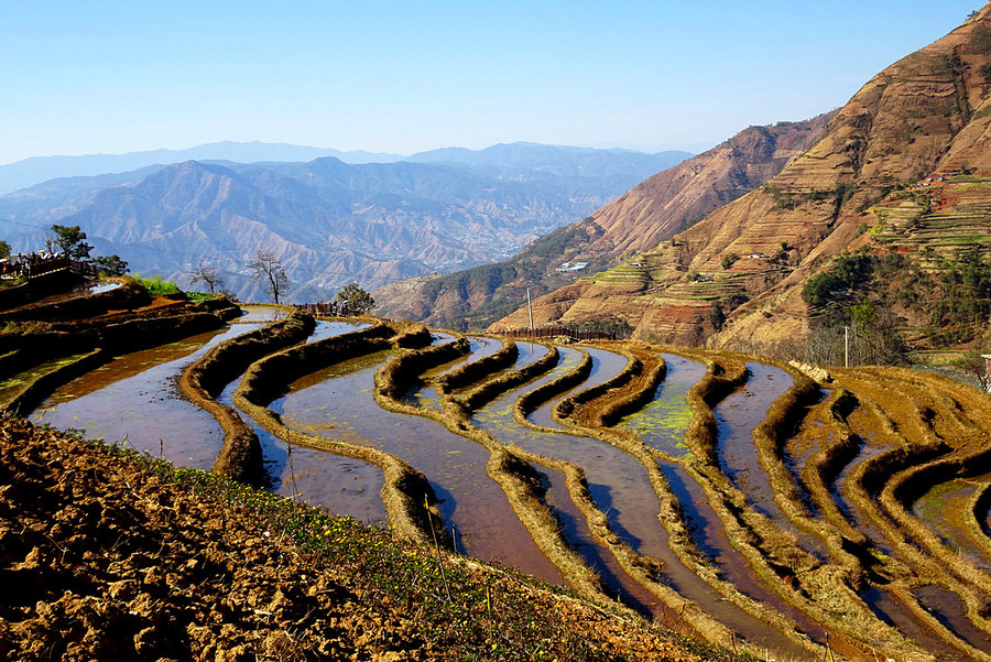 走进米易傈傈梯田