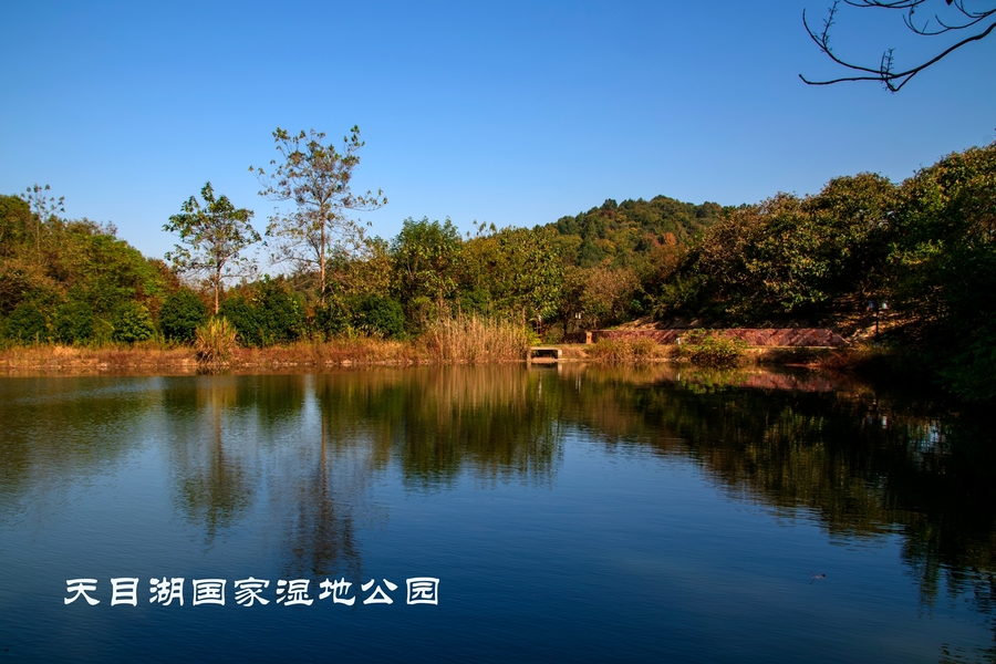 天目湖湿地公园