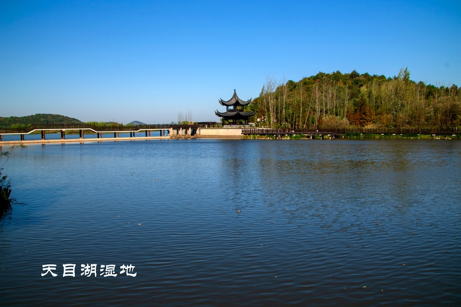 天目湖湿地公园