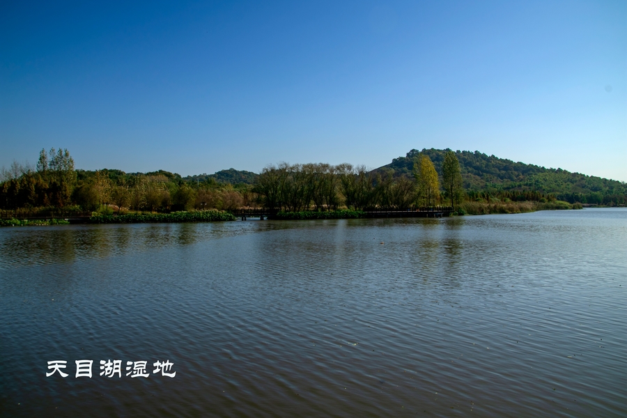 天目湖湿地公园