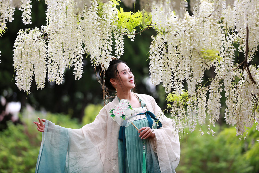 紫藤花下的汉服美女