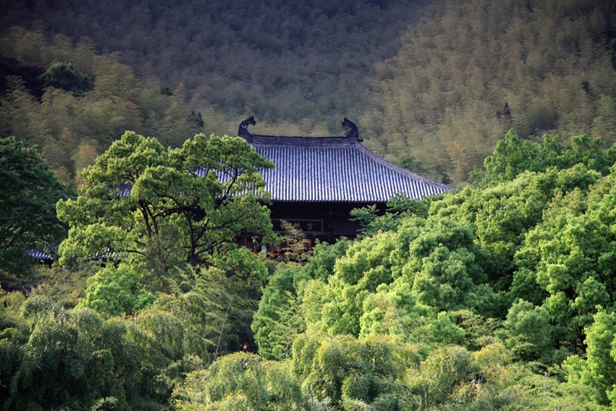 长兴大唐贡茶院