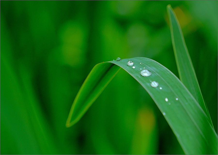 春雨润物