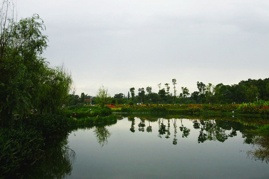 航拍青杠树村的湿地公园 (共p)