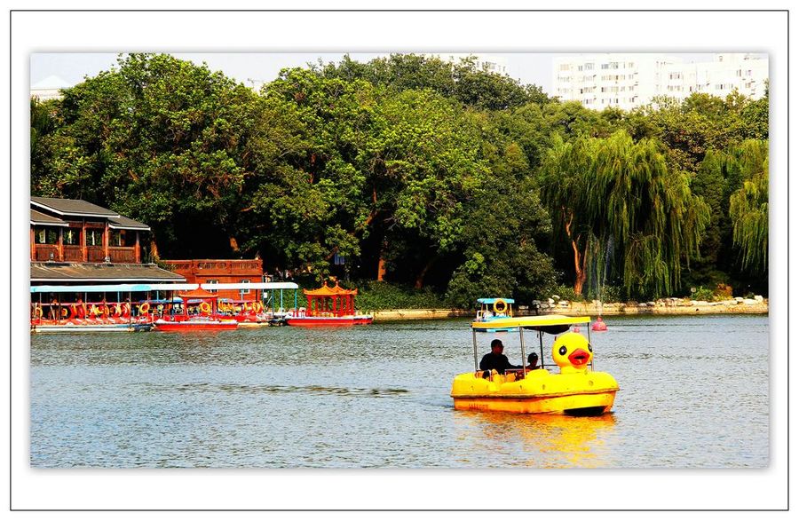 北京紫竹院公园掠影