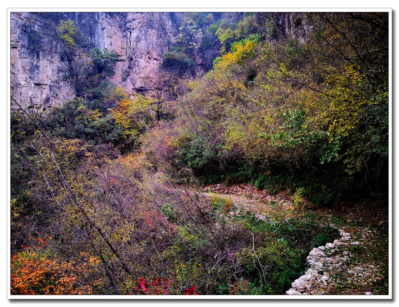 洹河峡谷风景区【11】