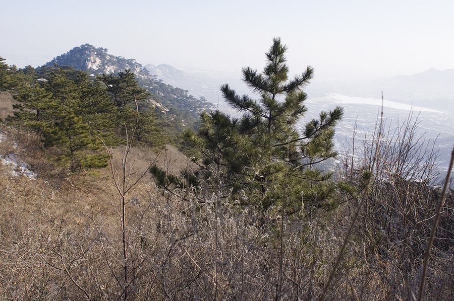 辽宁北镇小黄山