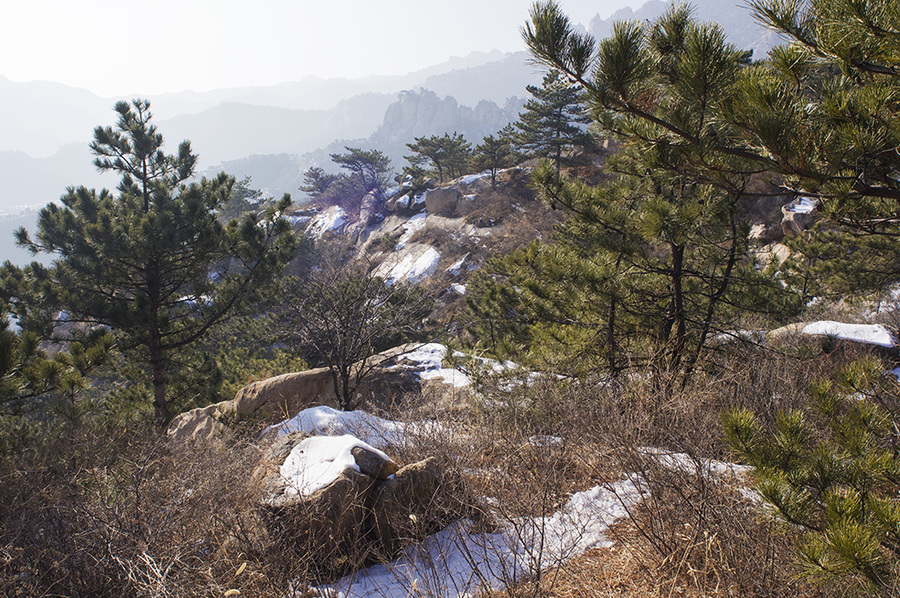 辽宁北镇小黄山