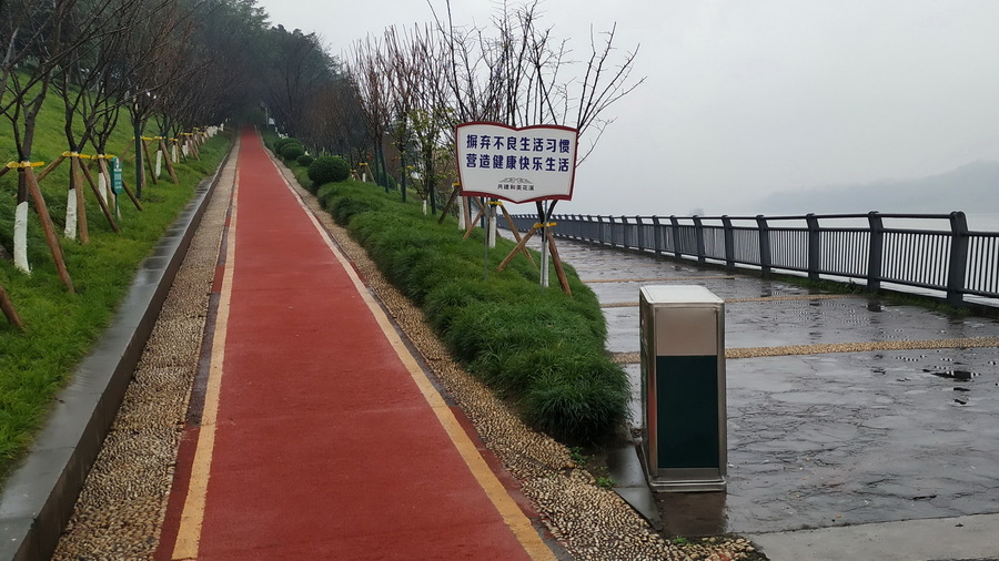 巴滨路健康骑行道(雨后手机随拍)