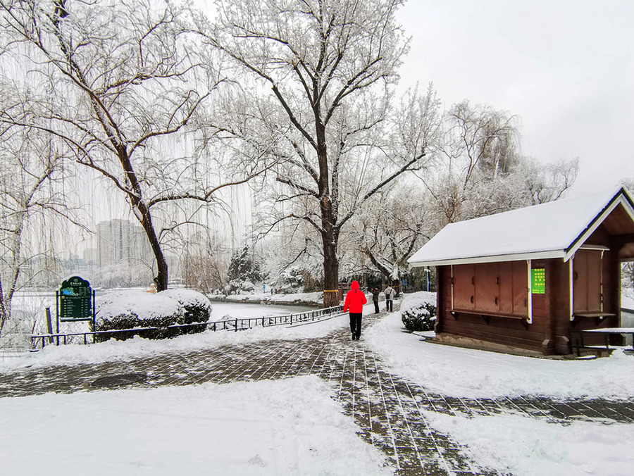 瑞雪兆丰年(1)