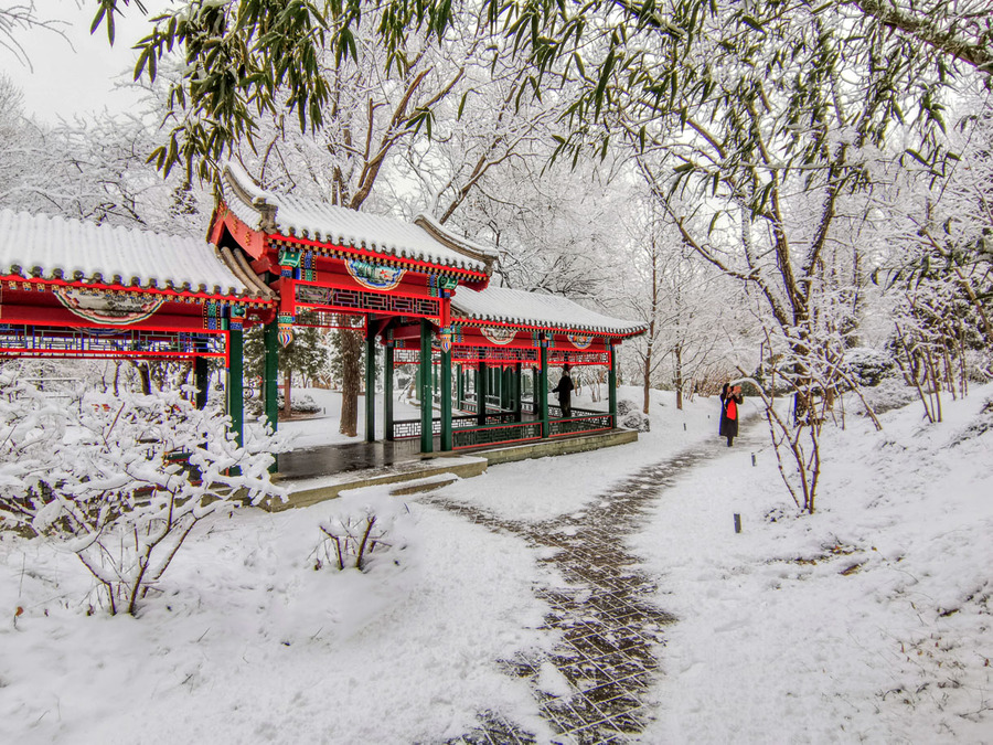 瑞雪兆丰年(1)