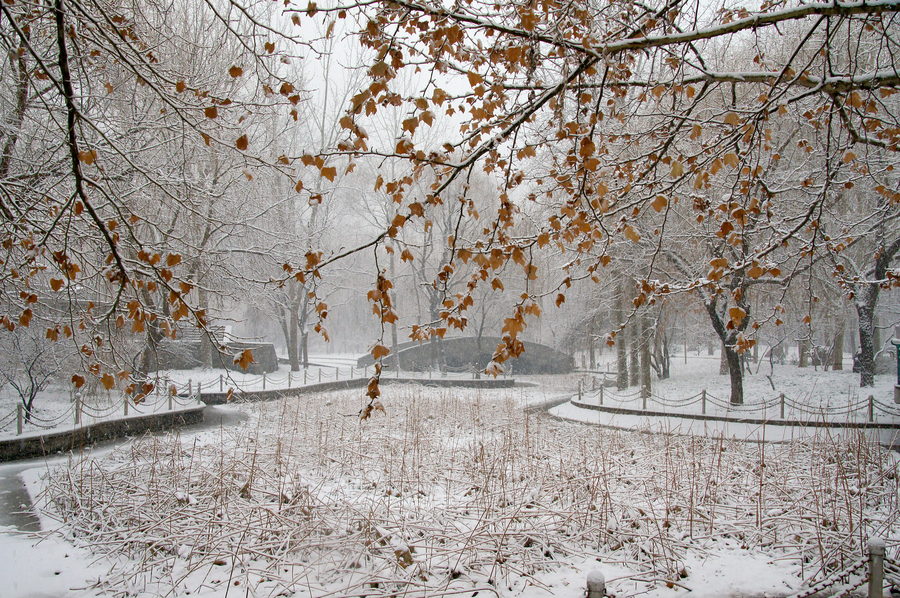 2020第一场雪4