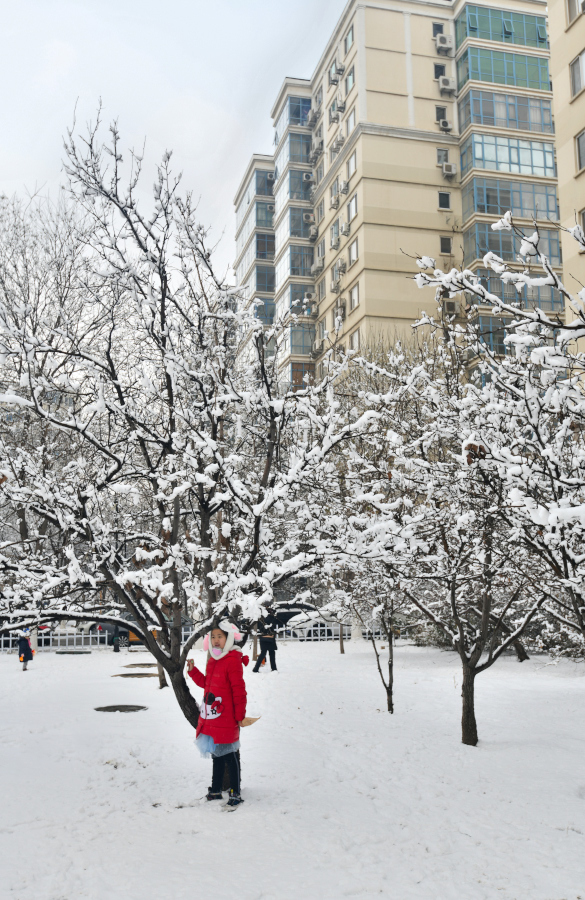 2020年的第一场雪