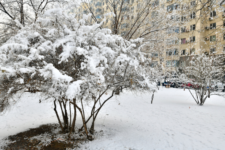 2020年的第一场雪