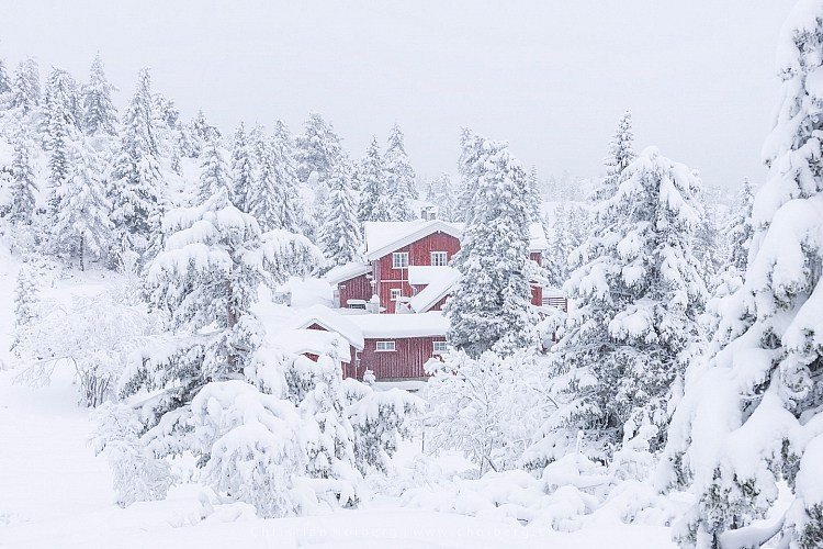 冬季雪景风光拍摄五个小技巧 (共p)