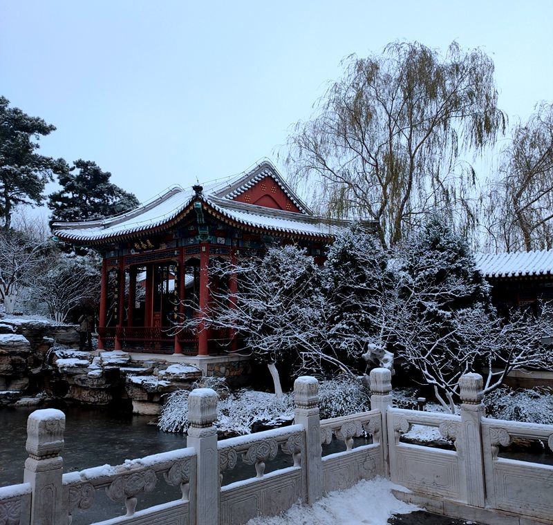 京园初雪手机版
