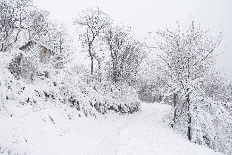 三门峡山村雪景风光 (共 26 p)