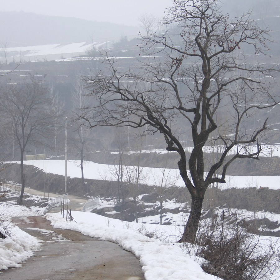 三门峡山村雪景风光 (共 26 p)