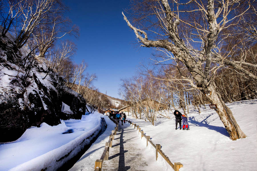 北国冬雪