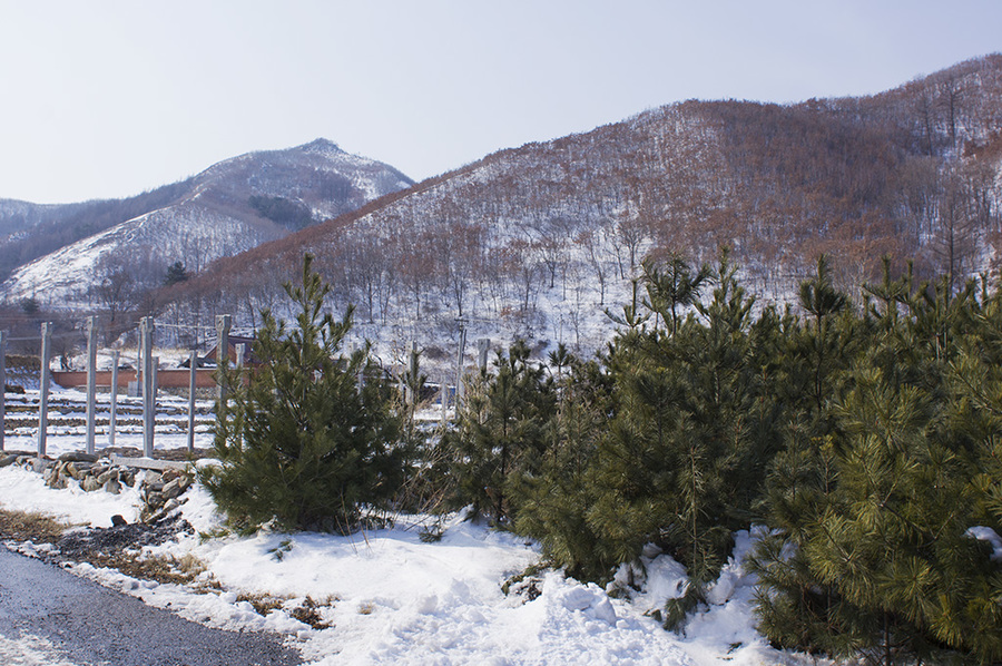 山村雪景