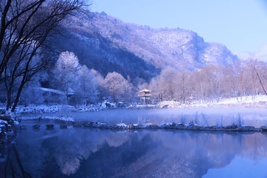 雪霜树挂银色似棉