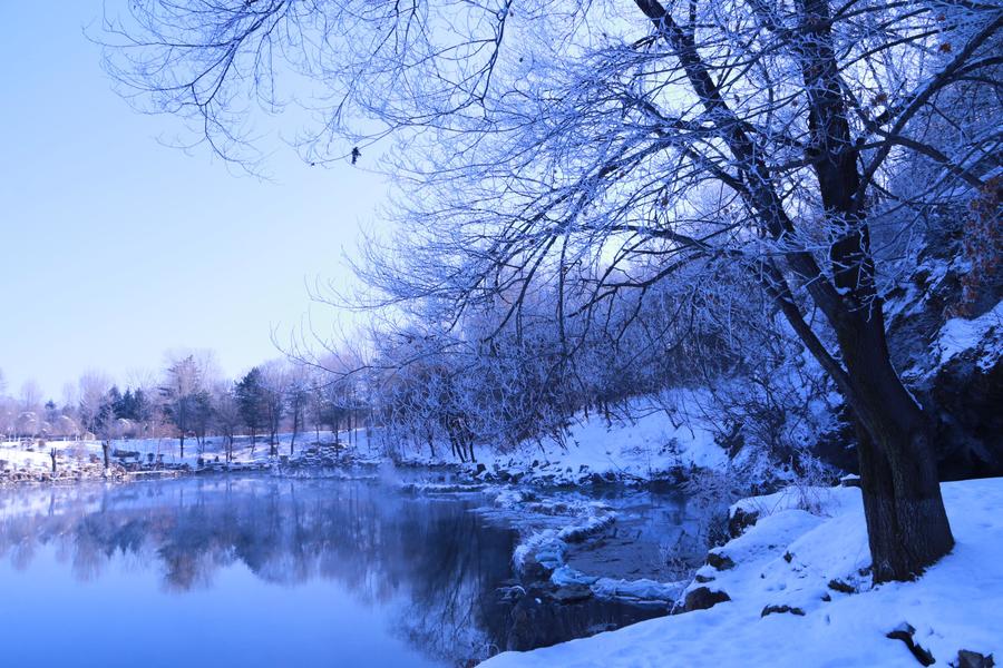 雪霜树挂银色似棉 (共p)