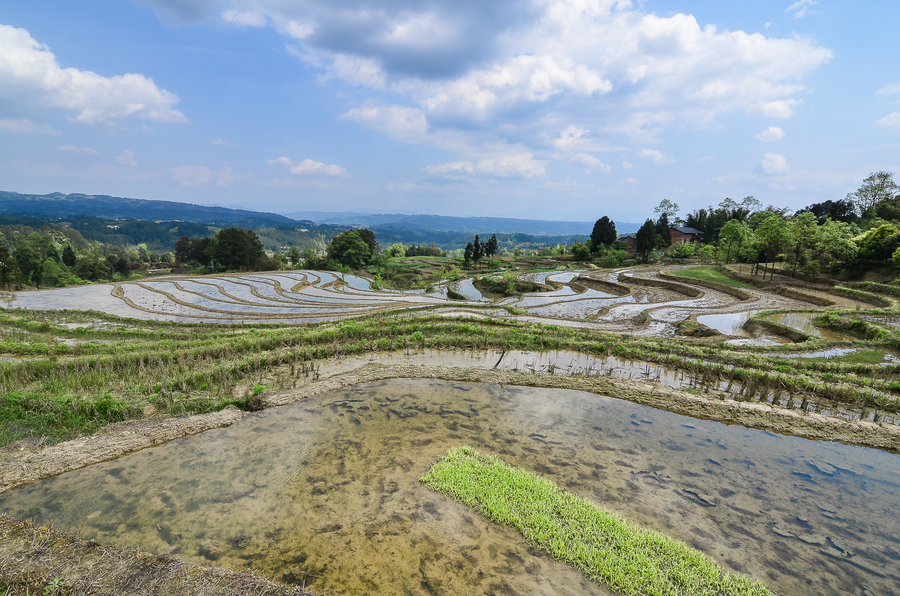 南川盐井梯田(共 8 p)