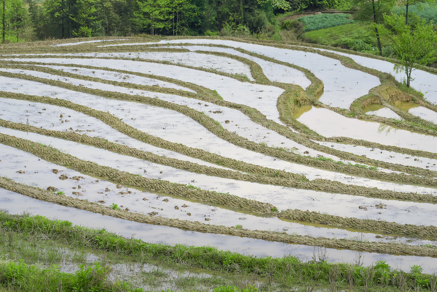 南川盐井梯田 (共 8 p)