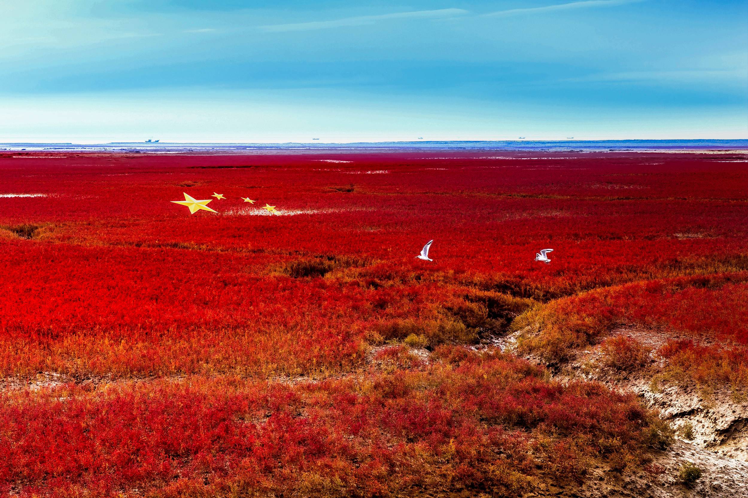 即将截稿——“世界红色海岸线”盘锦红海滩摄影大展--中国摄影家协会网