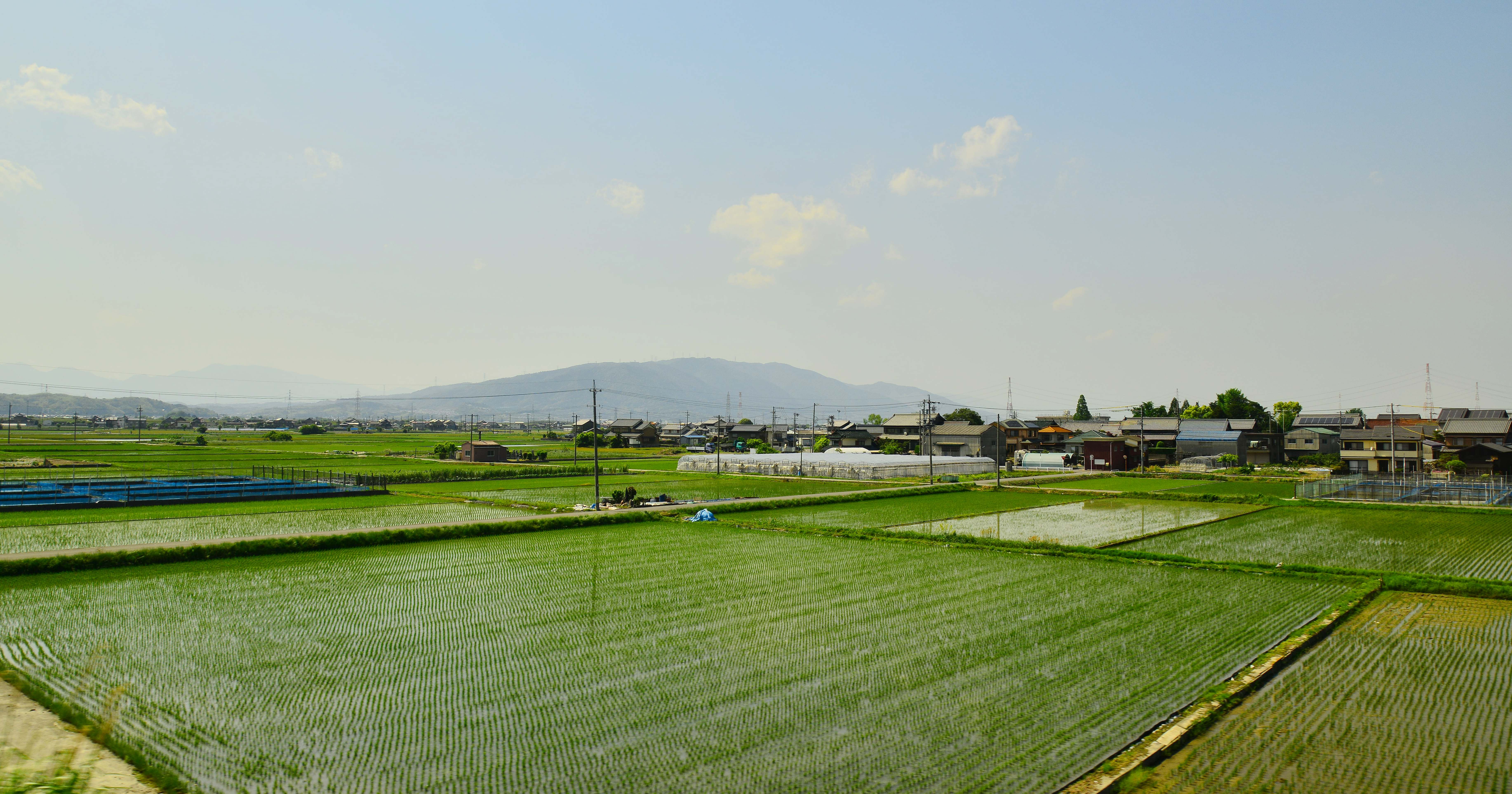 日本大阪的田野风光