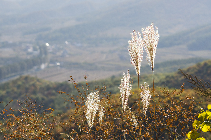 山上的风景