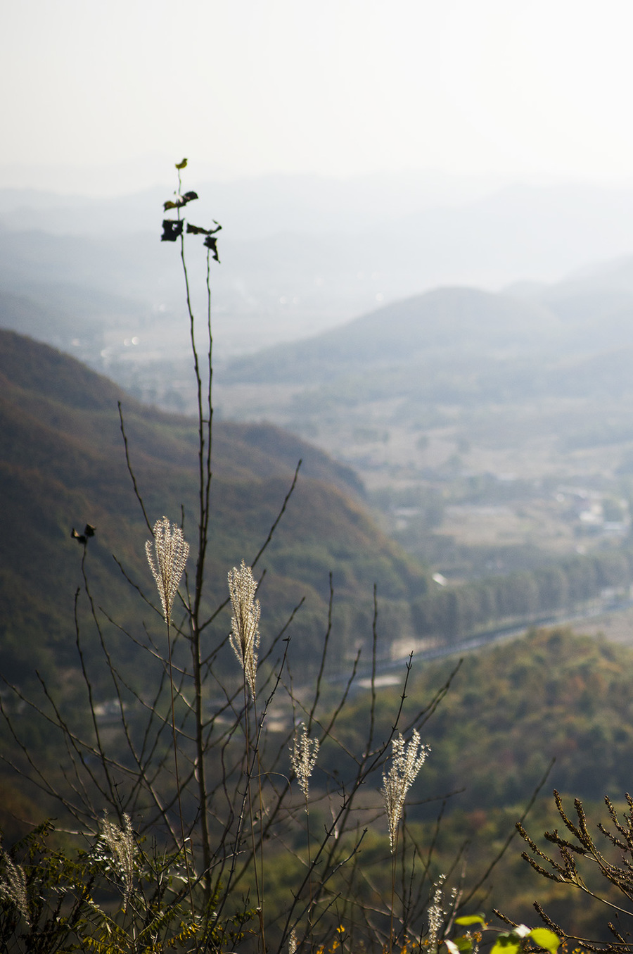 山上的风景