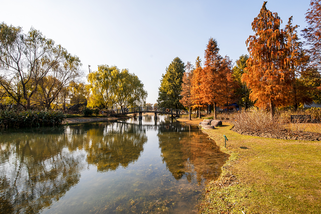 上海辰山植物园月季展举办--松江报