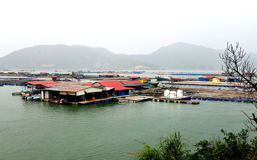 福建旅游图片——霞浦 东安渔排