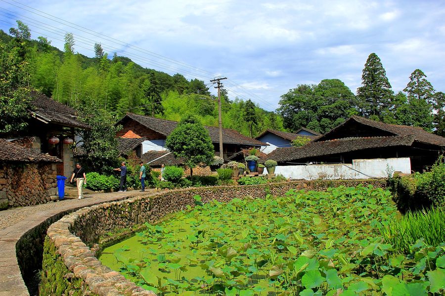 丽水景宁深垟村