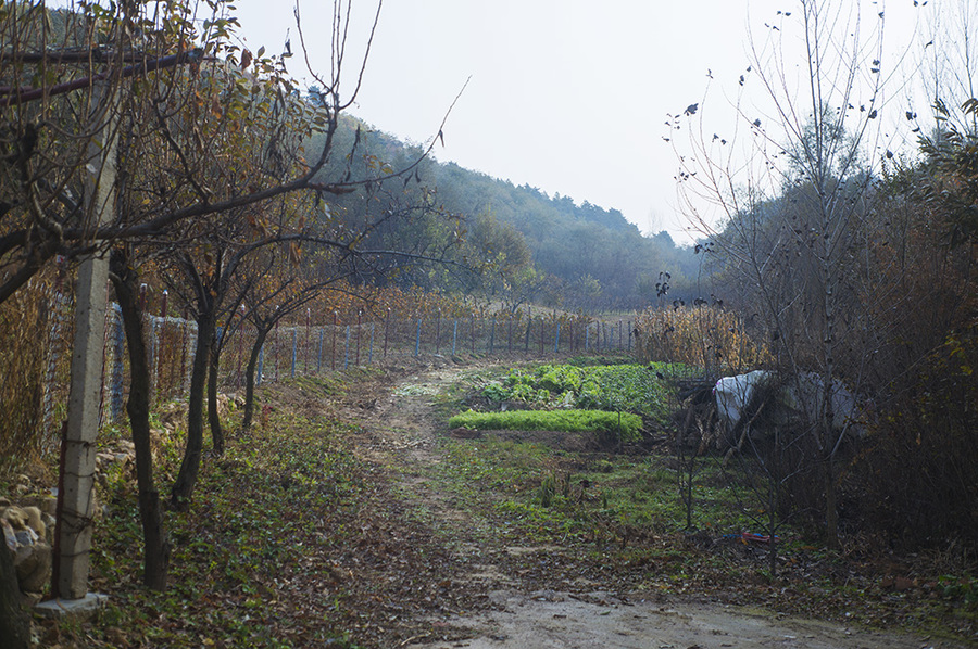 北方小山村