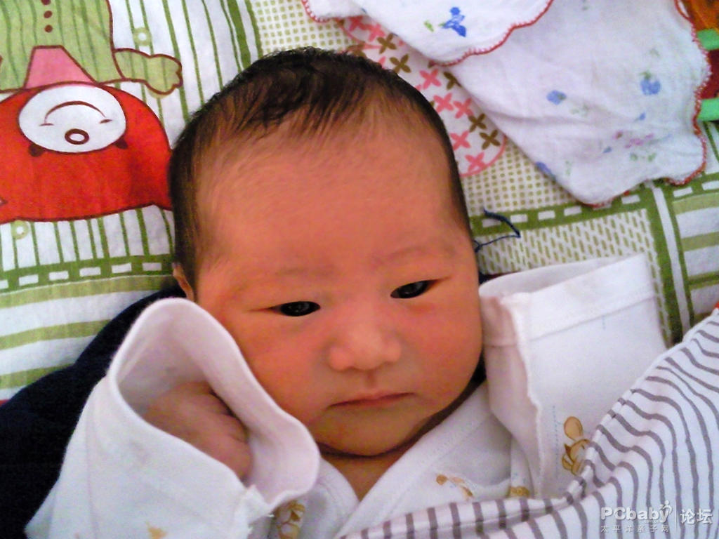 三个月婴儿发型-图库-五毛网
